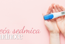 Trudnoća po sedmicama