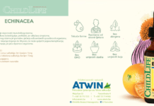 Echinacea-prirodna podrška imunitetu najmlađih